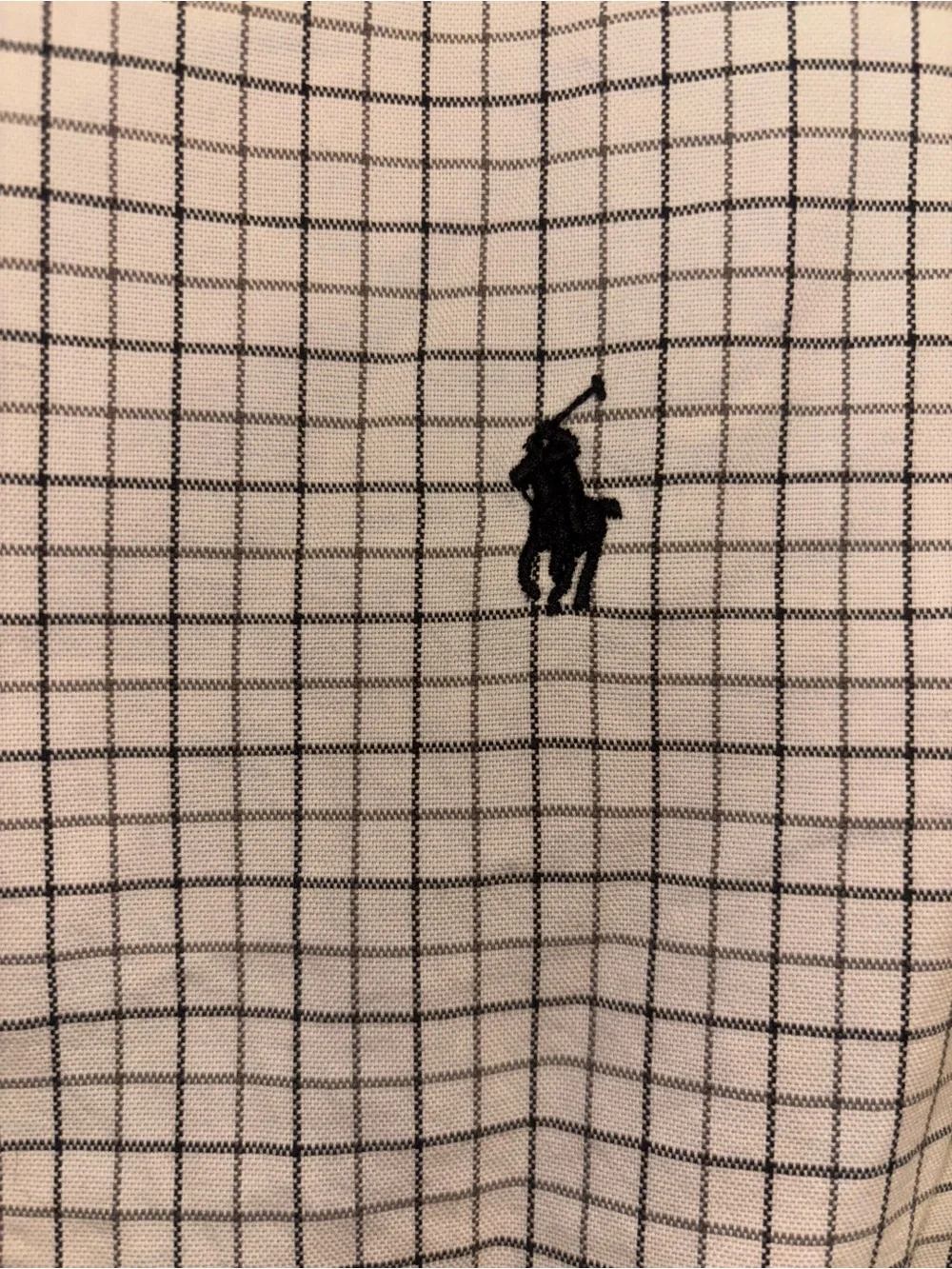 Polo Ralph Lauren this polo
